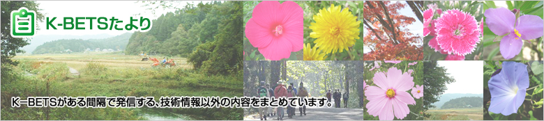 K-BETSたより